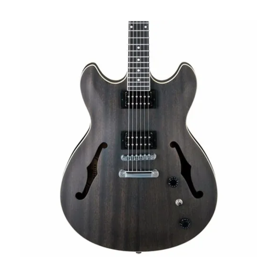 Guitarra Eléctrica AS53-TKF Artcore Negro Transparente Mate - Image 2
