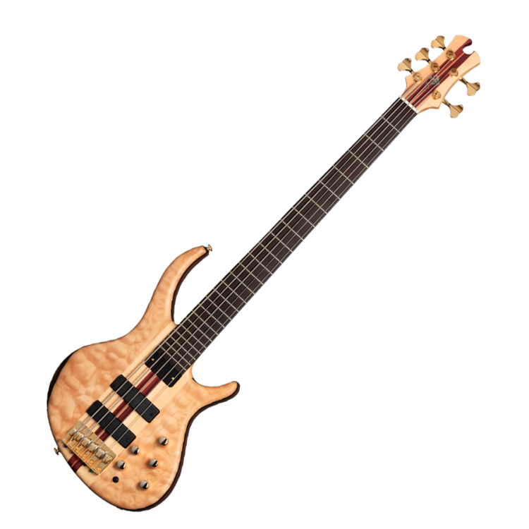 Bajo Tobías Classic V INCL: Premium Gig Bag